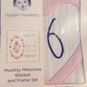 Monthly milestone baby girl blanket
